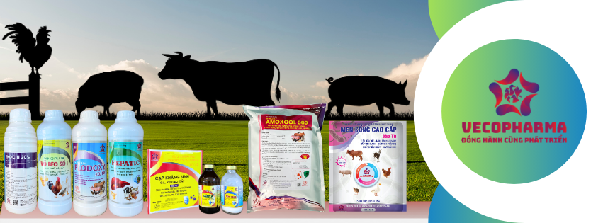 Chương trình khuyến mãi 