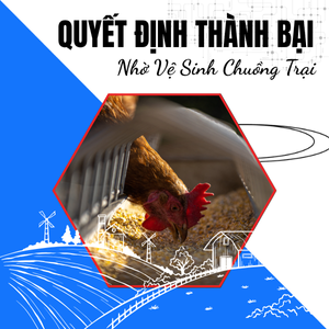 Vệ Sinh Chuồng Trại Chăn Nuôi - Chìa Khóa Vàng Giữa Thời Buổi Khó Khăn