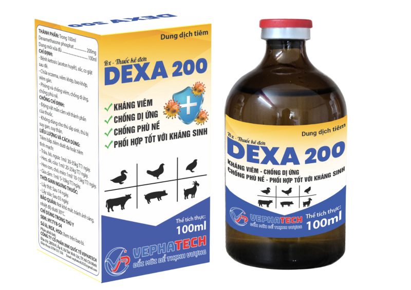 DEXA 200