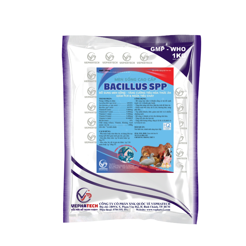 MEN SỐNG CAO CẤP BACILLUS SPP