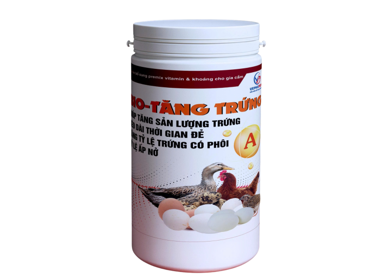 TĂNG TRỨNG (1KG LON)